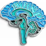 Psychiatric Nurse Practitioner PMHNP Lapel Pin USA