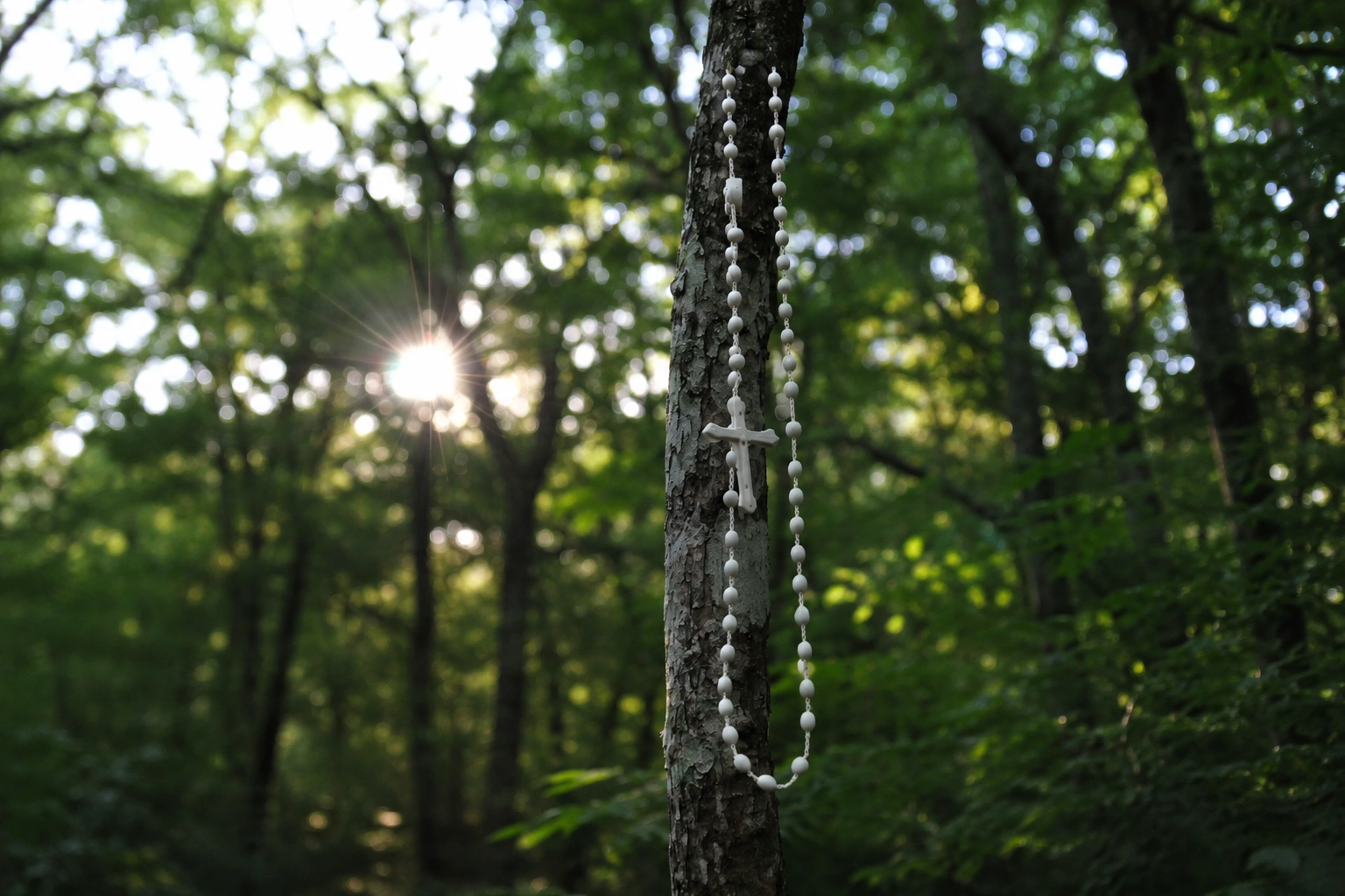 white rosary necklace silksong